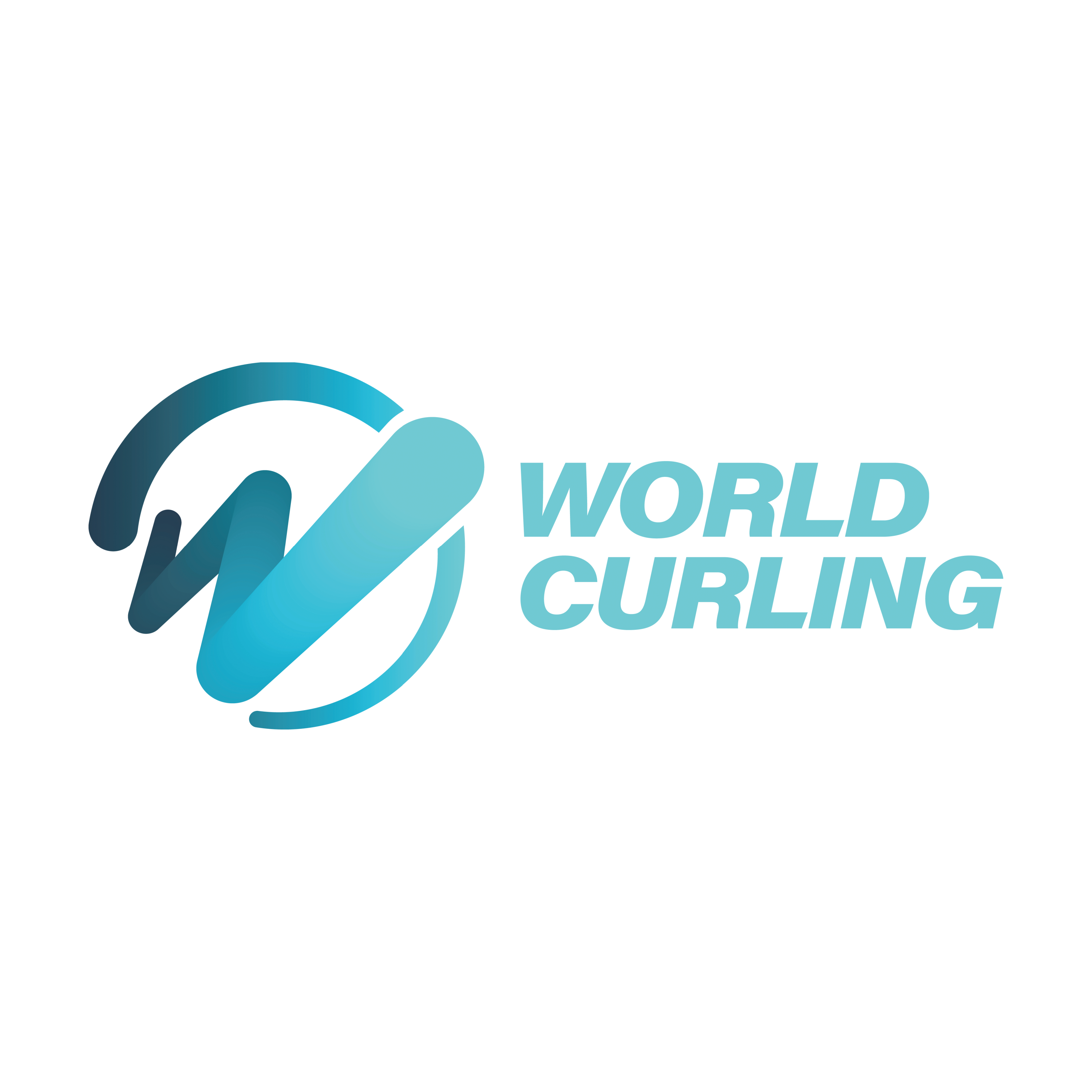 World Curling Transparent Picture