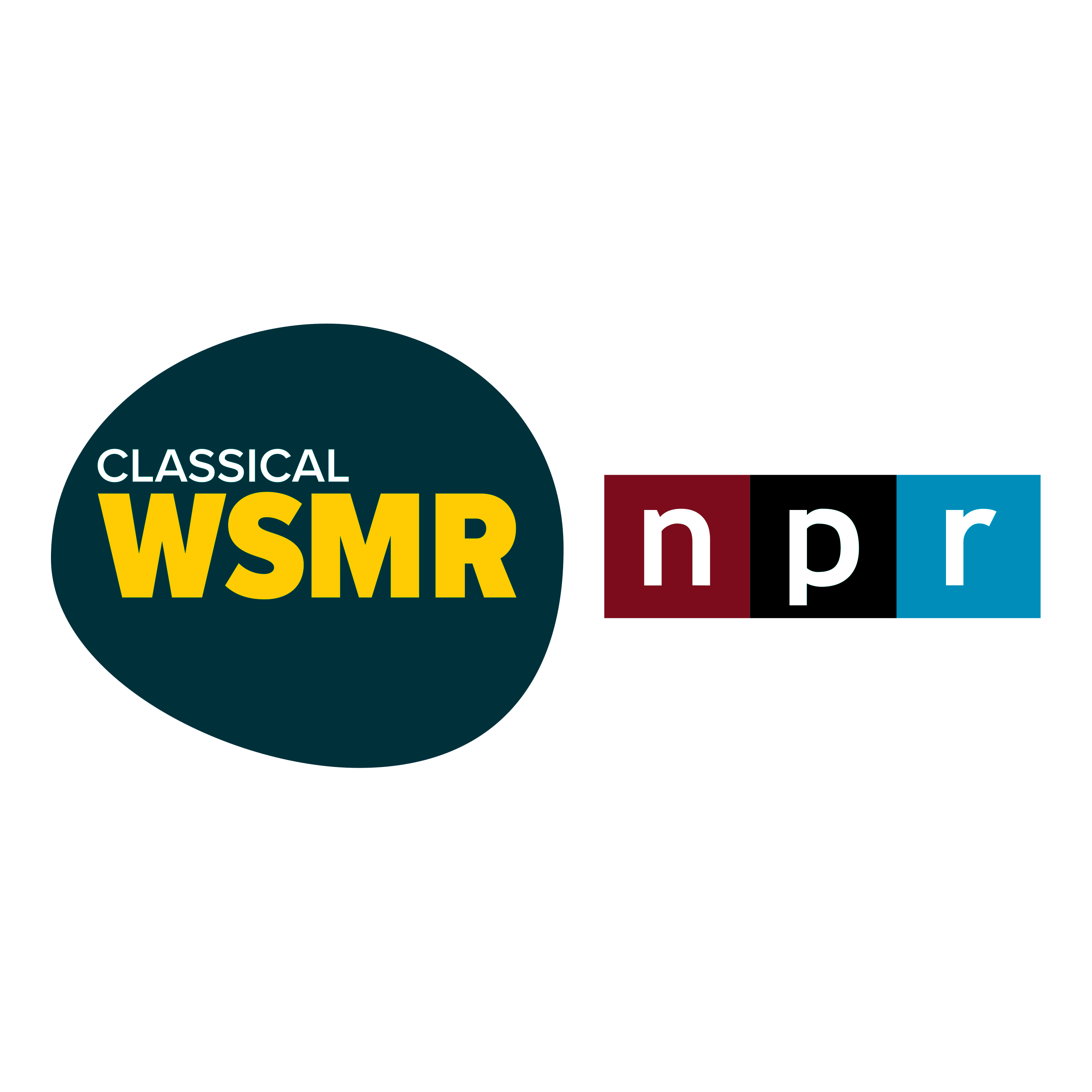 WSMR FM 2023 Logo  Transparent Gallery