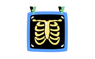 X Ray Free Sticker PNG