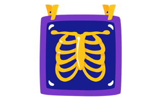 X Ray Sticker PNG