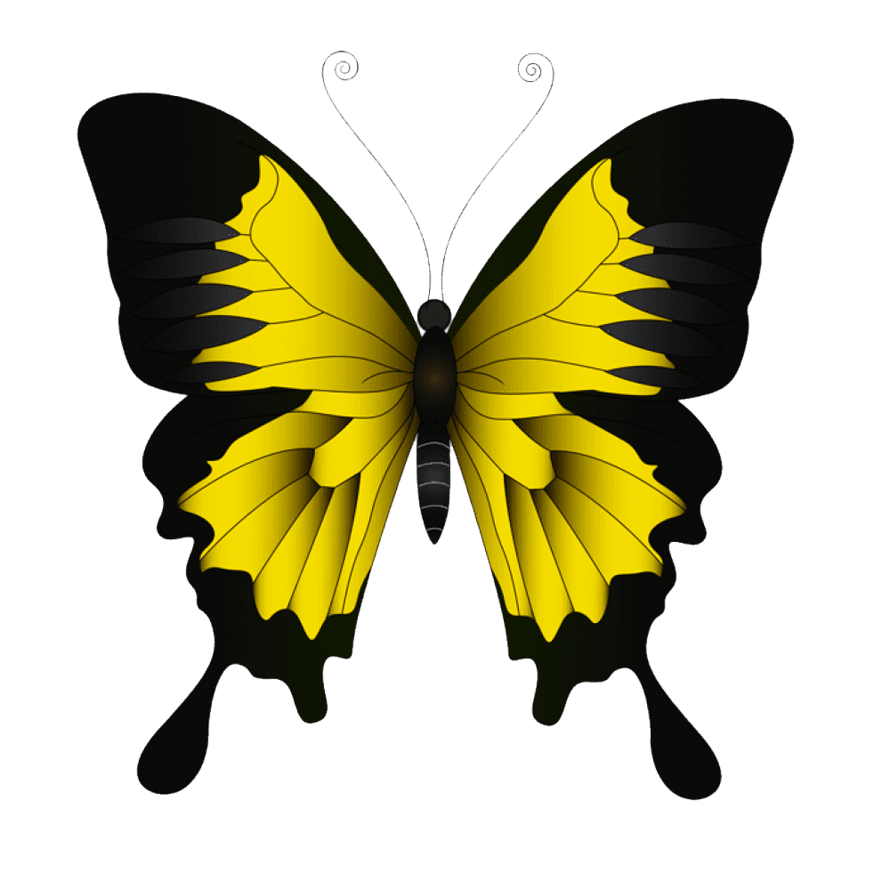 Yellow Butterfly Transparent Image