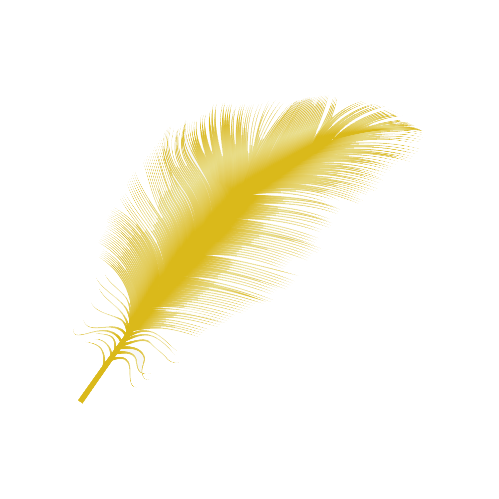 Yellow Feather Transparent Image