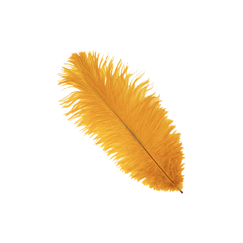Yellow Feather Transparent Photo