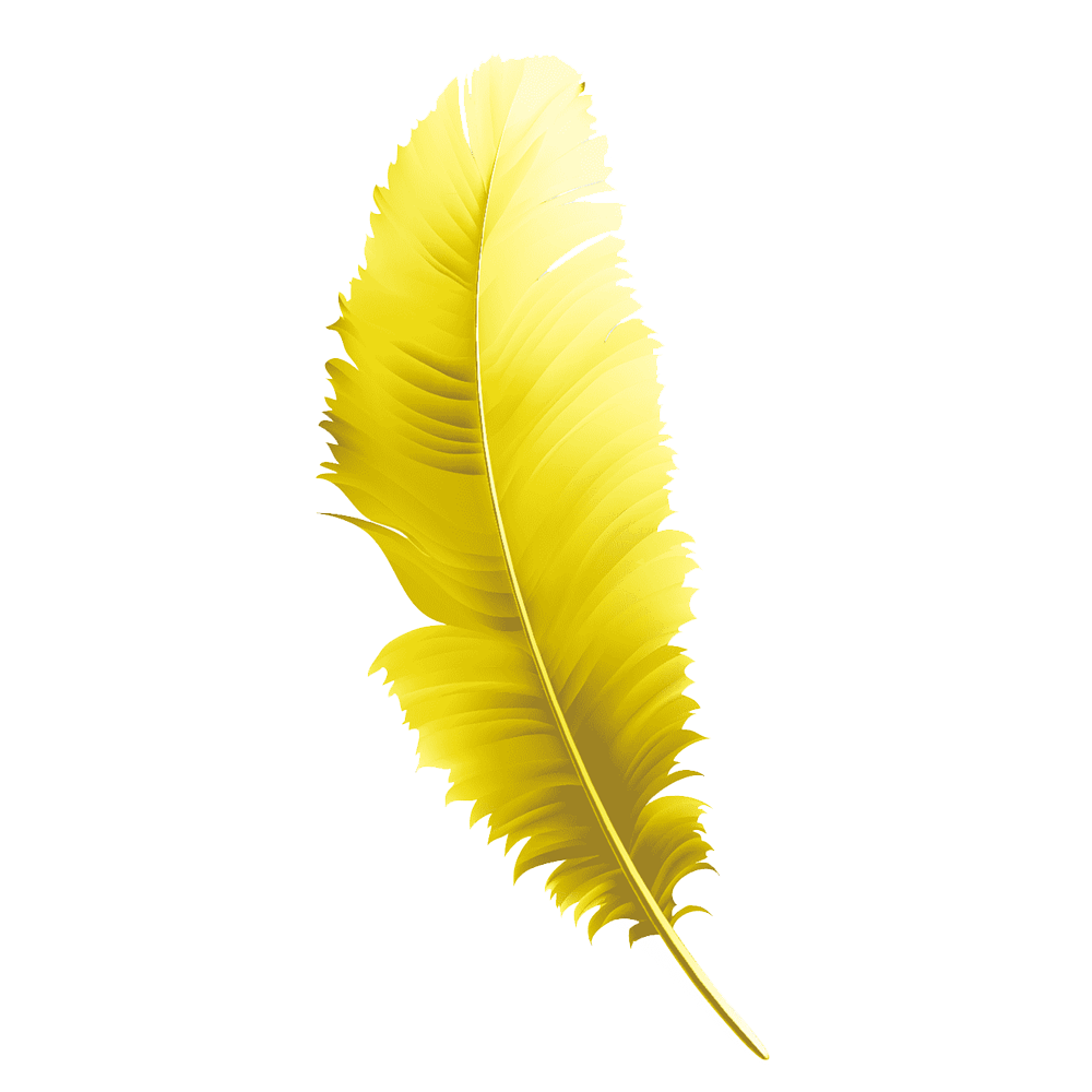 Yellow Feather Transparent Picture