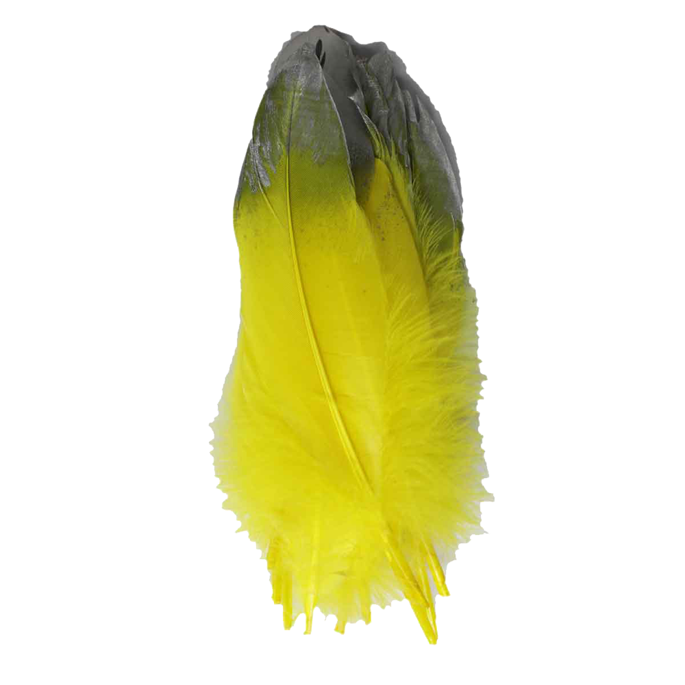Yellow Feather Transparent Clipart