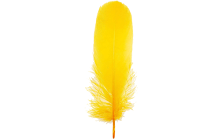 Yellow Feather PNG