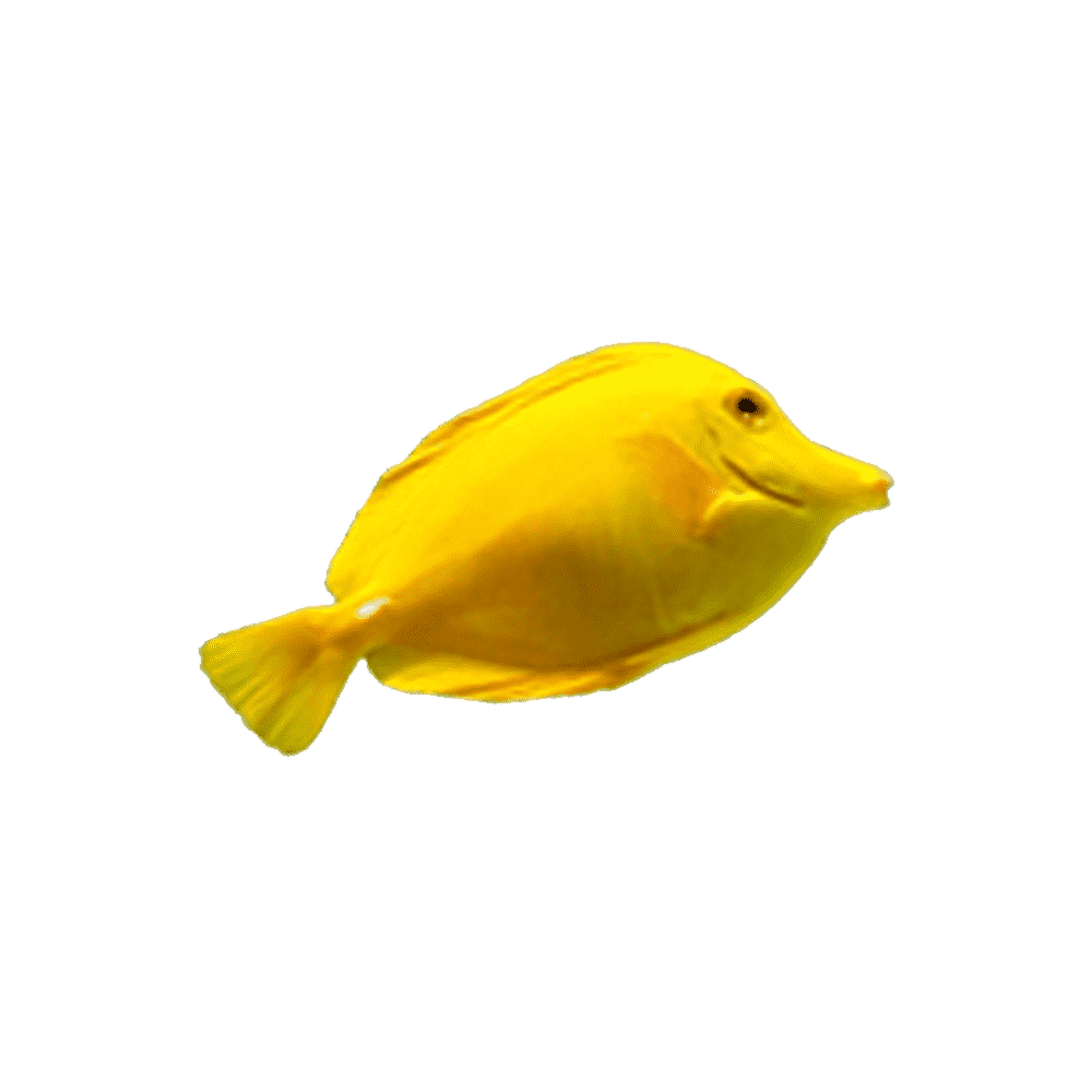 Yellow Fish Transparent Picture