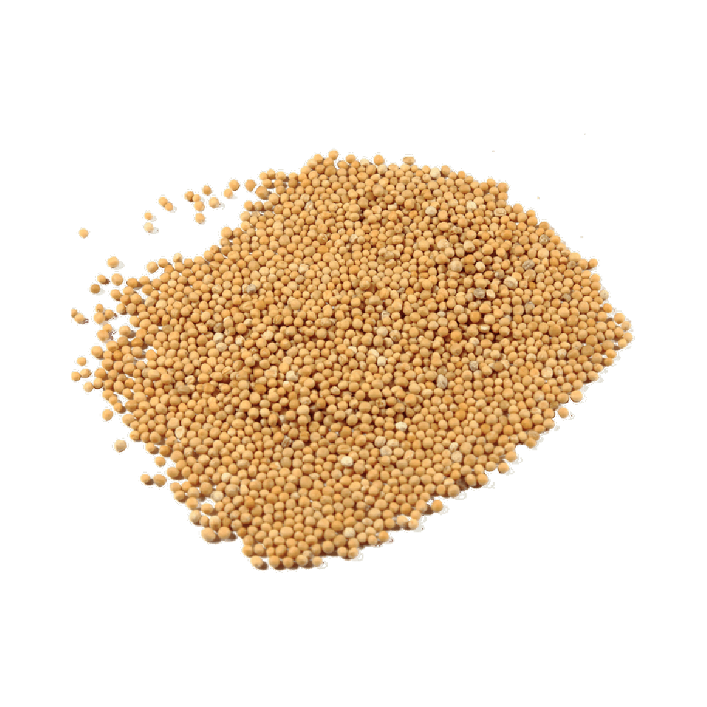 Yellow Mustard Seeds Transparent Picture