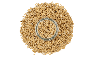 Yellow Mustard Seeds PNG