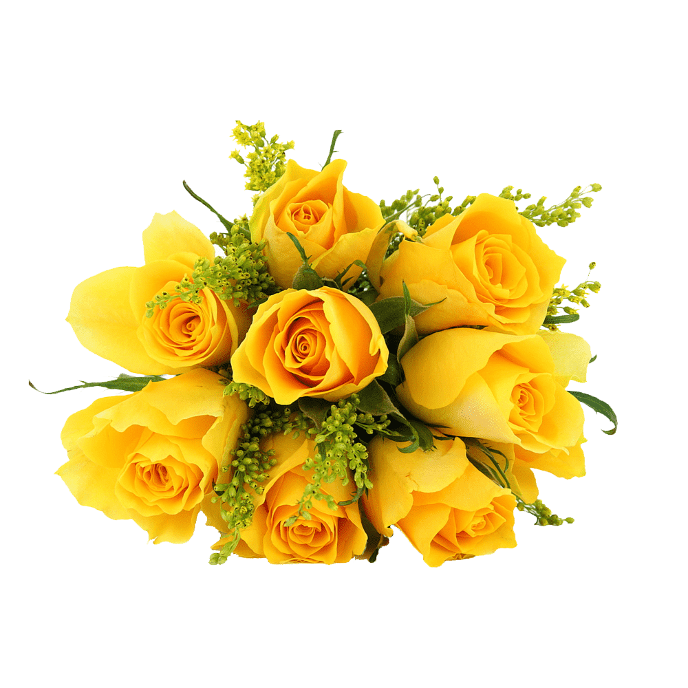 Yellow Rose Transparent Picture