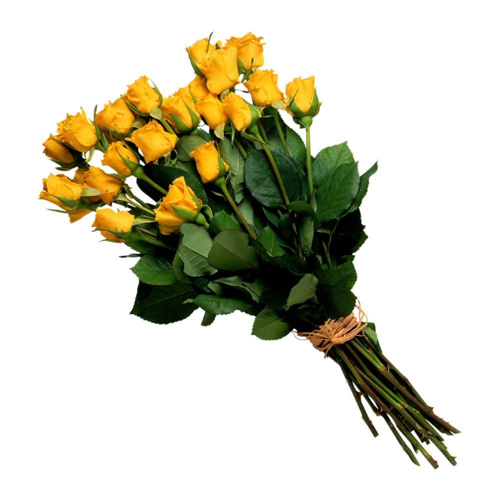 Yellow Rose Bokeh PNG Transparent Image