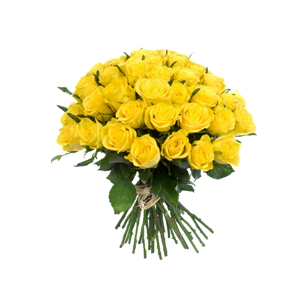 Yellow Rose Bokeh PNG Transparent Photo