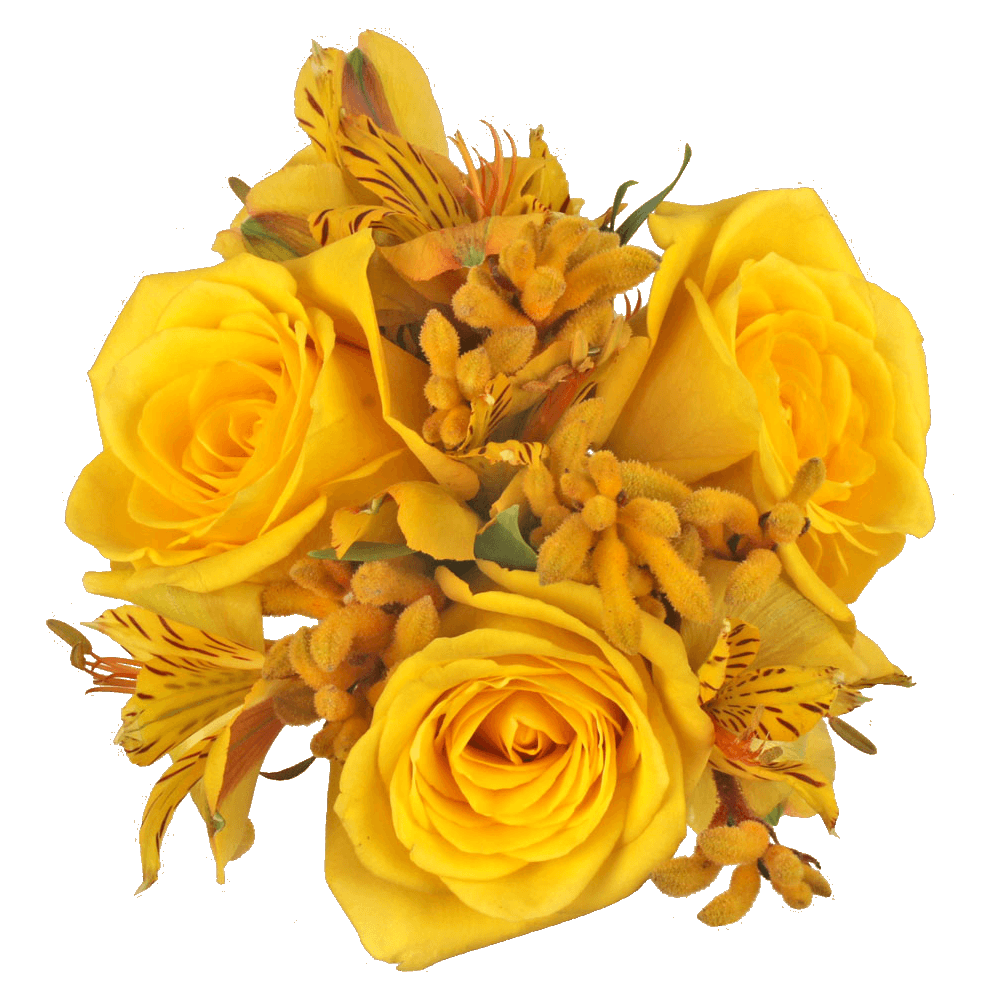 Yellow Rose Bokeh PNG Transparent Clipart