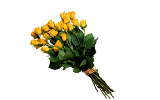 Yellow Rose Bokeh PNG