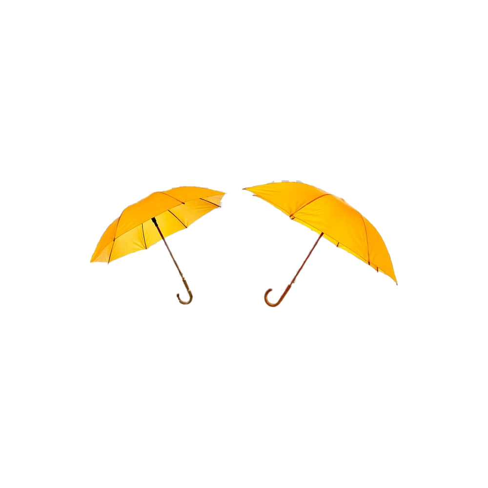 Yellow Umbrella Transparent Gallery