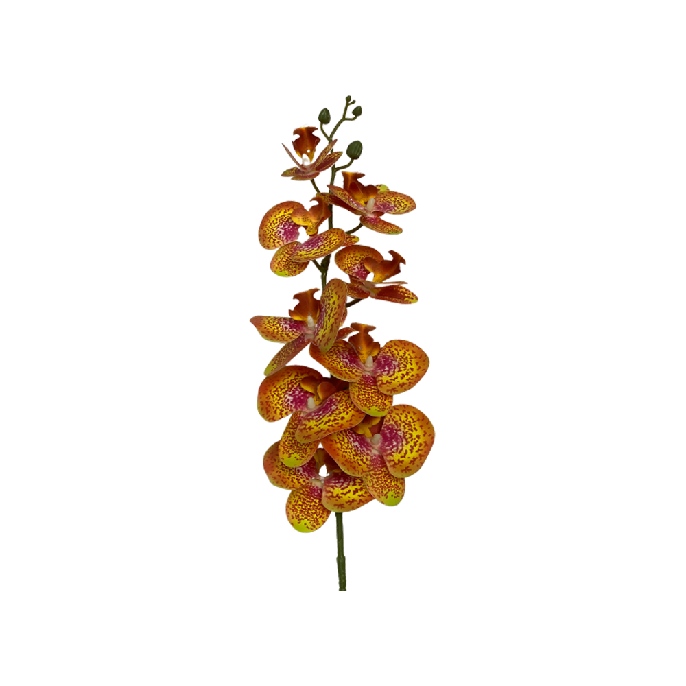 Yellow Vanda Orchid Flower  Transparent Clipart
