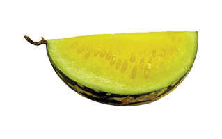 Yellow Watermelon PNG